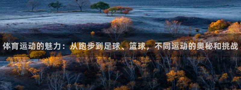 米兰体育官方正版app集团简介:体育运动的魅力:从跑步到足球