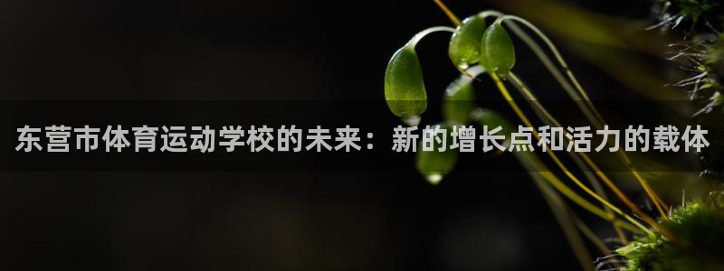 米兰体育官方正版app代理:东营市体育运动学校的未来:新的增