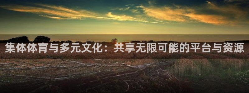 米兰体育官方正版app集团官网首页:集体体育与多元文化:共享