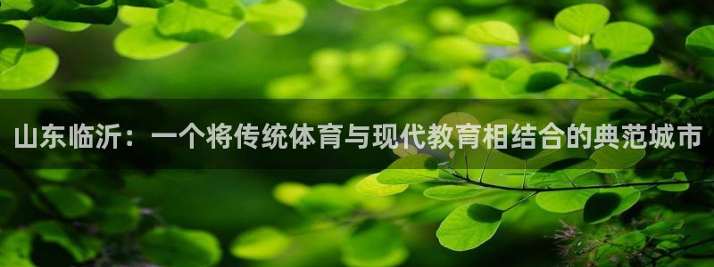 米兰体育官方正版app官网:山东临沂:一个将传统体育与现代教